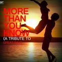 Ummet Ozcan,Axwell Λ Ingrosso - More Than You Know专辑