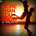 Ummet Ozcan,Axwell Λ Ingrosso - More Than You Know专辑