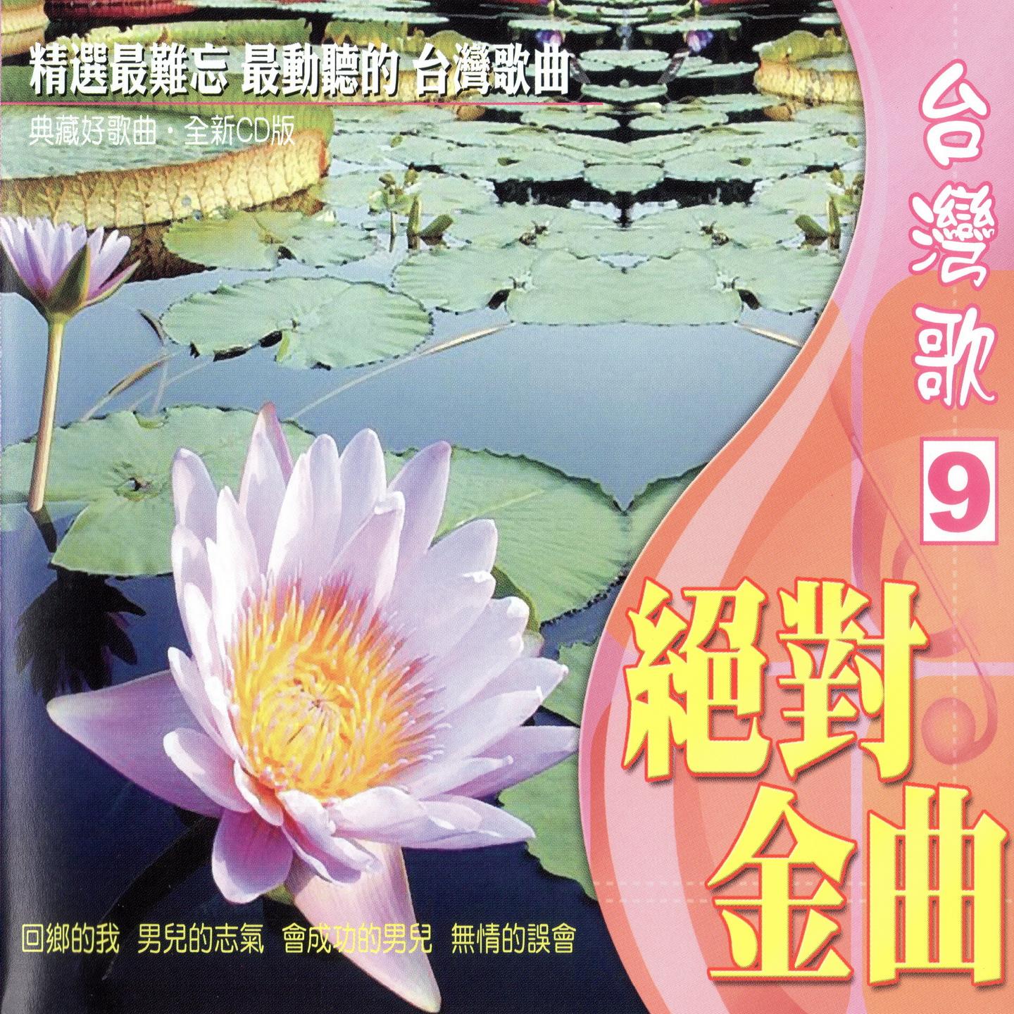 台湾歌 绝对金曲 （9） (回乡的我，男儿的志气，会成功的男儿，无情的误会)