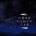 向着流星划过的方向（致初恋）