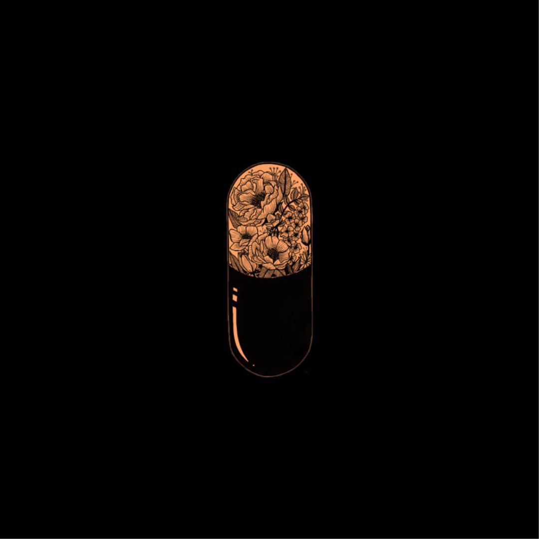 胶囊（记事簿 Vol.2）