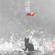 【千与原创音乐】迷猫