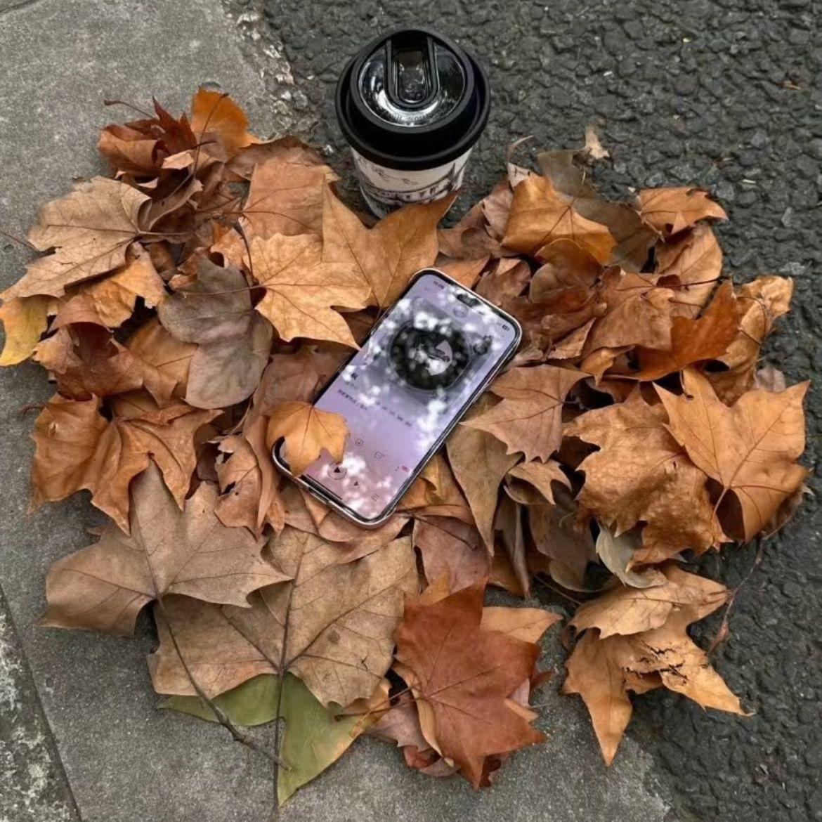 多想念你（栎桦版）