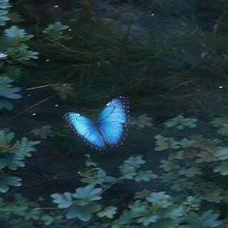 「掌管宿命感，爆好听的神级纯音乐