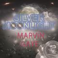 Silver Moonlight