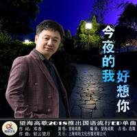 望海高歌-今夜的我好想你  立体声伴奏