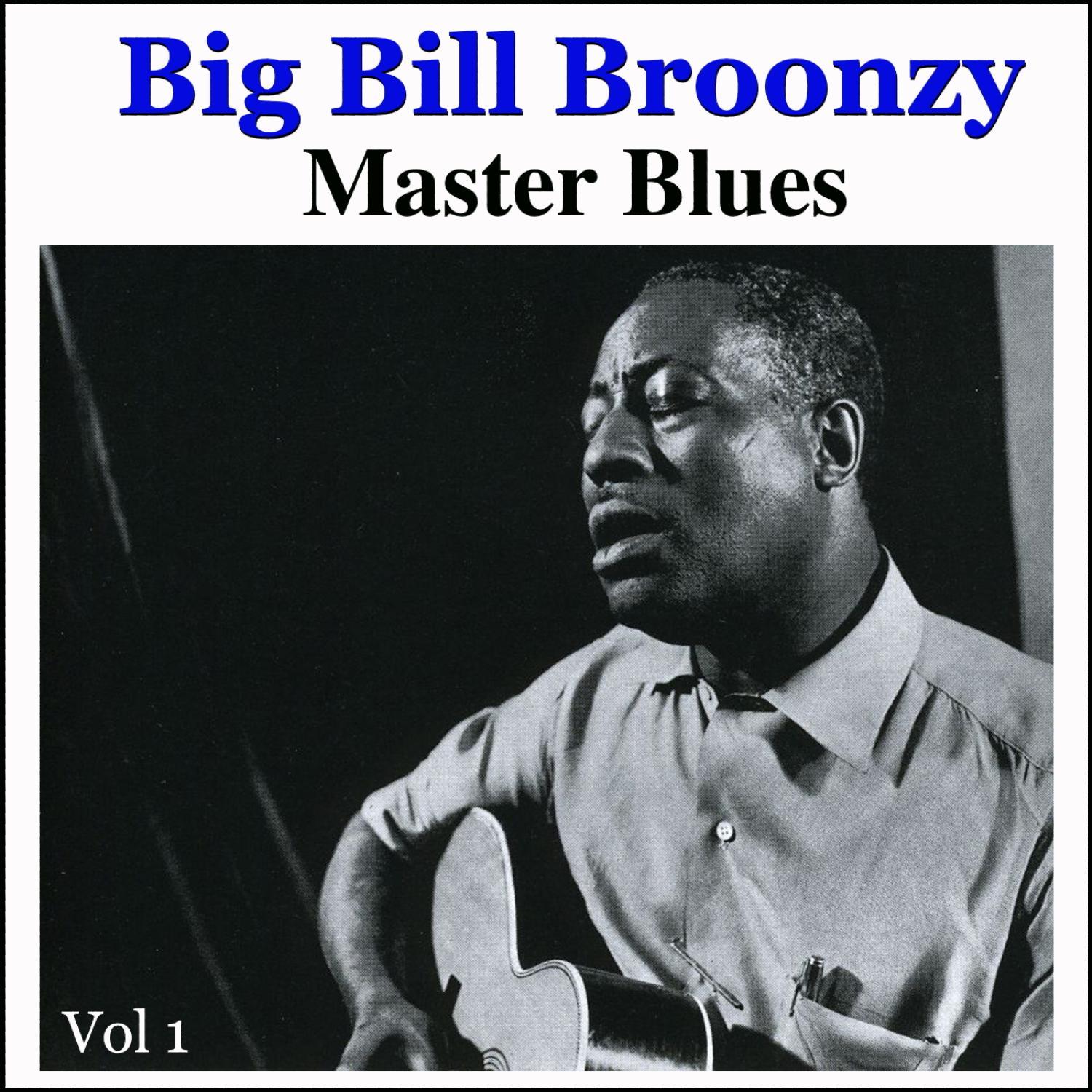 Master Blues, Vol. 1