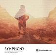 Symphony (SLTRY Remix)