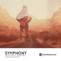 Symphony (SLTRY Remix)专辑