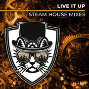 Live It Up (Steam House Extended Mix)