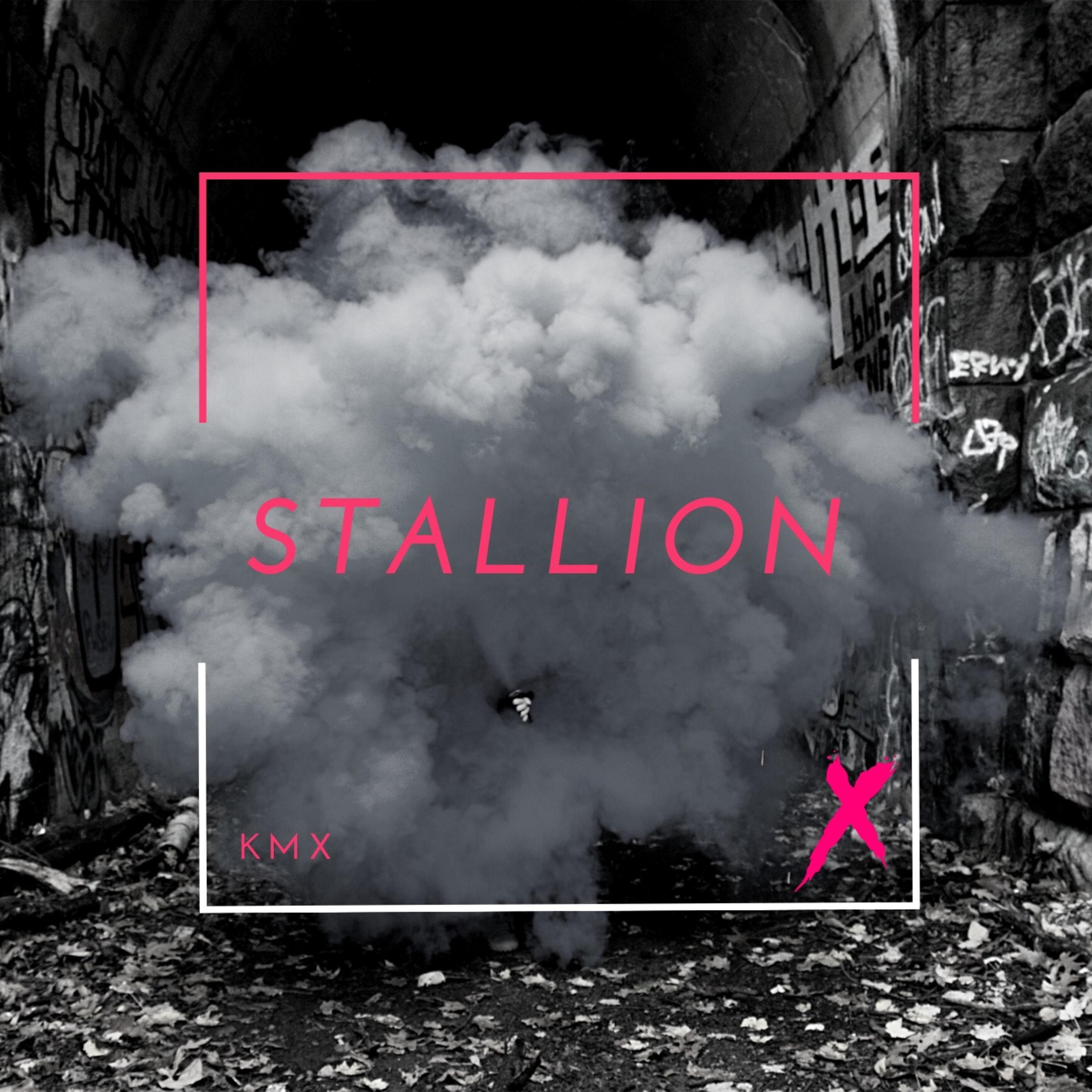 Stallion (Reign Rivers PW Entrance Theme)