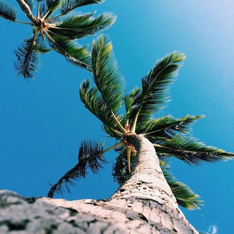 Frank Ocean - Think about you Remix