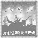 鸟撞十五周年北京现场专辑