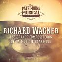 Les grands compositeurs de la musique classique : Richard Wagner, Vol. 2专辑