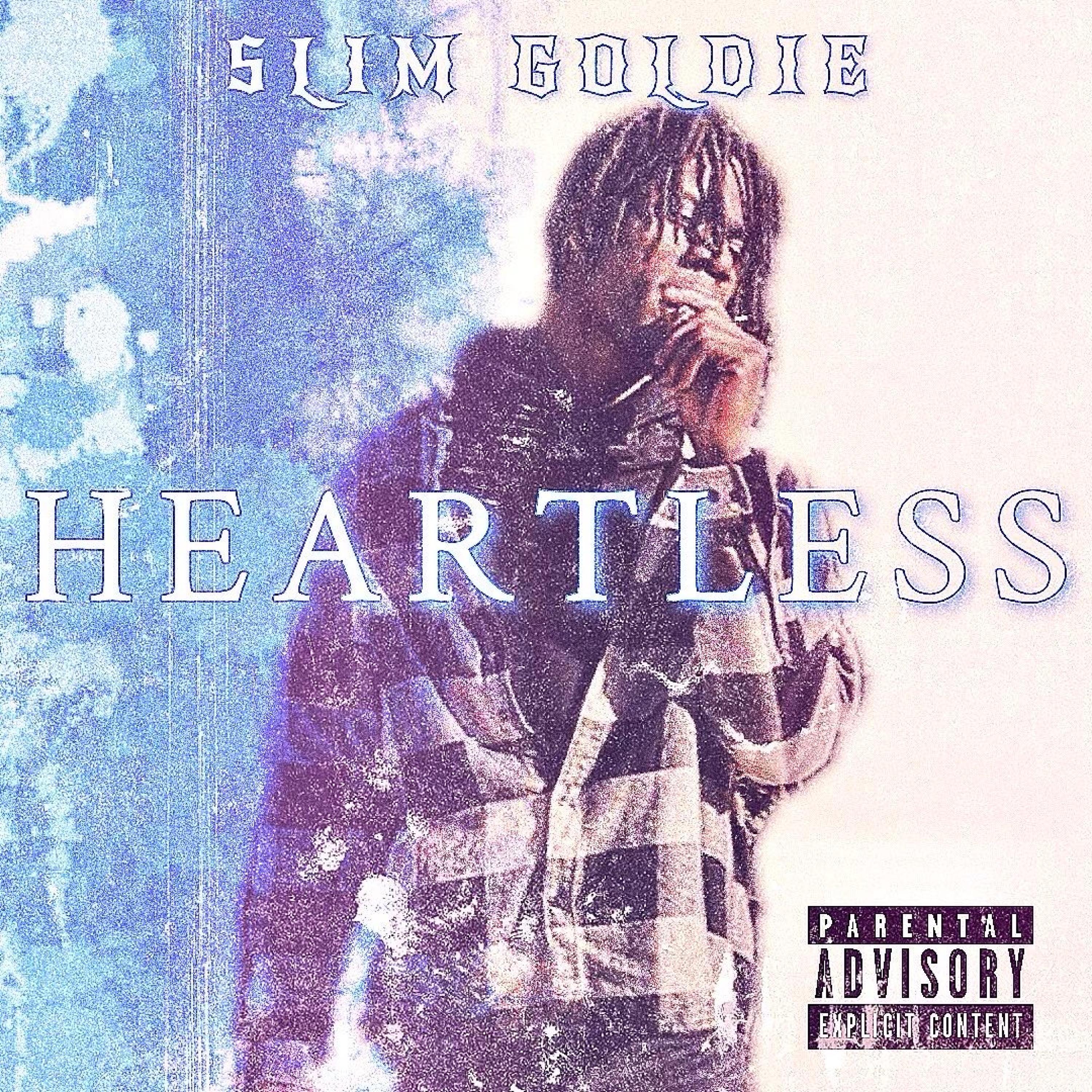 Slim Goldie - Bigger Picture