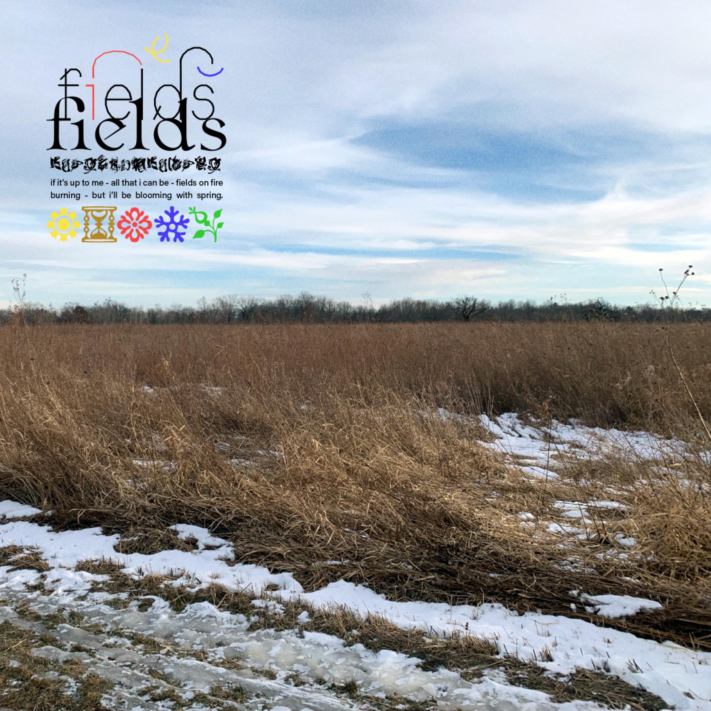 Fields