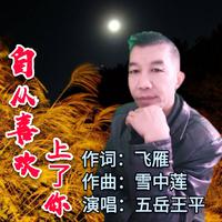 自从喜欢上了你（王平专用伴奏）