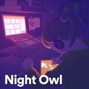 Night Owl