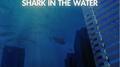 Shark in the Water专辑