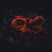 【FREE】 "ROSE" EMO BEAT