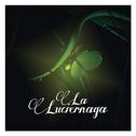 La Luciérnaga - Cuento专辑