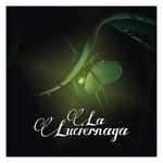 La Luciérnaga - Cuento专辑