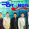 Grupo Bryndis