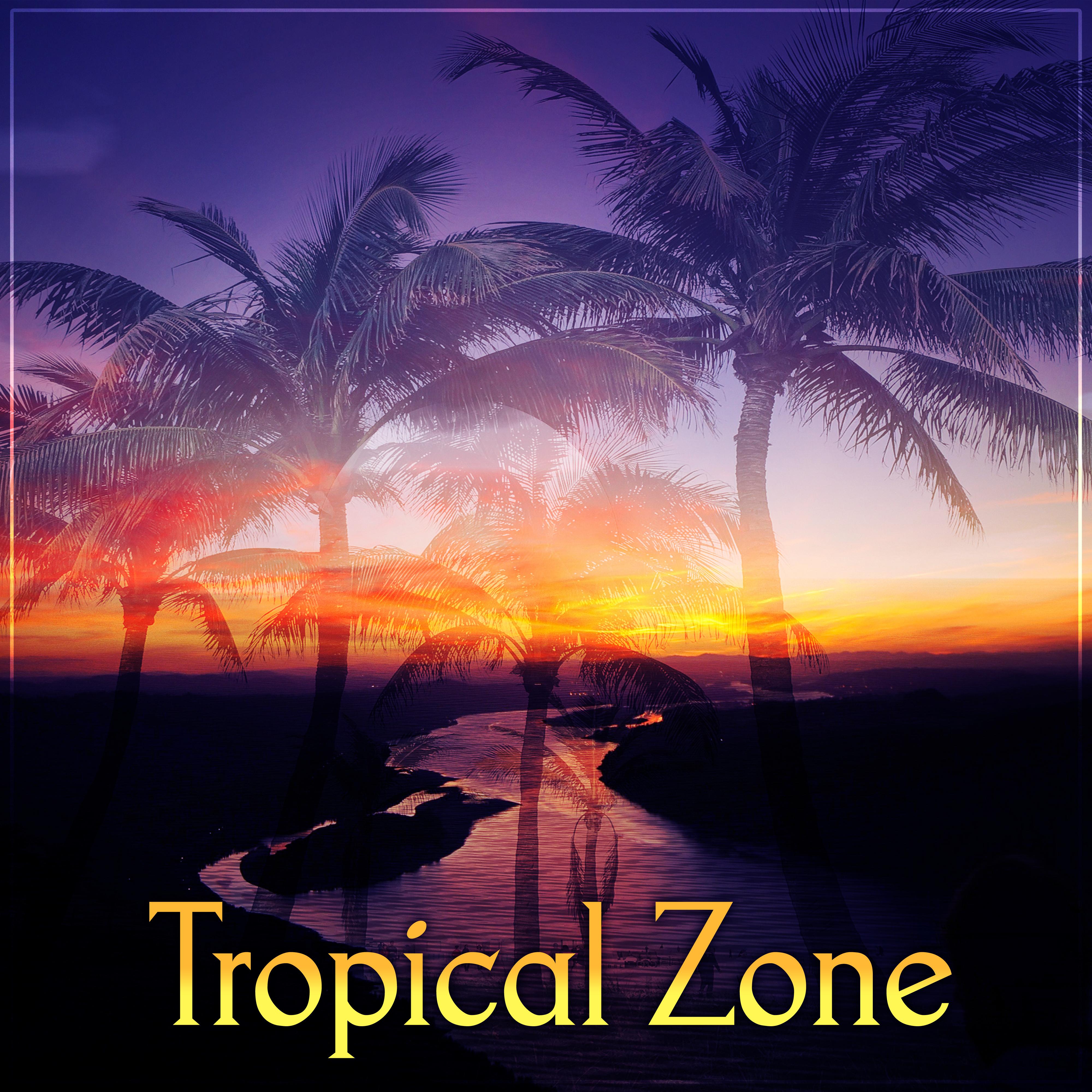 electronic music - tropical chill zone - 单曲 - 网易云音乐