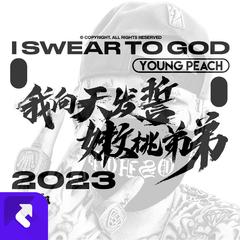 我向天发誓 (2023)