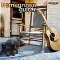 Home Grown Guitar专辑