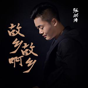 张洪涛 - 故乡啊故乡(原版立体声伴奏) （升1半音）