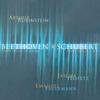 Rubinstein Collection, Vol. 12: Beethoven: Piano Trio, Op. 97 "Archduke"; Schubert: Piano Trio No. 1专辑