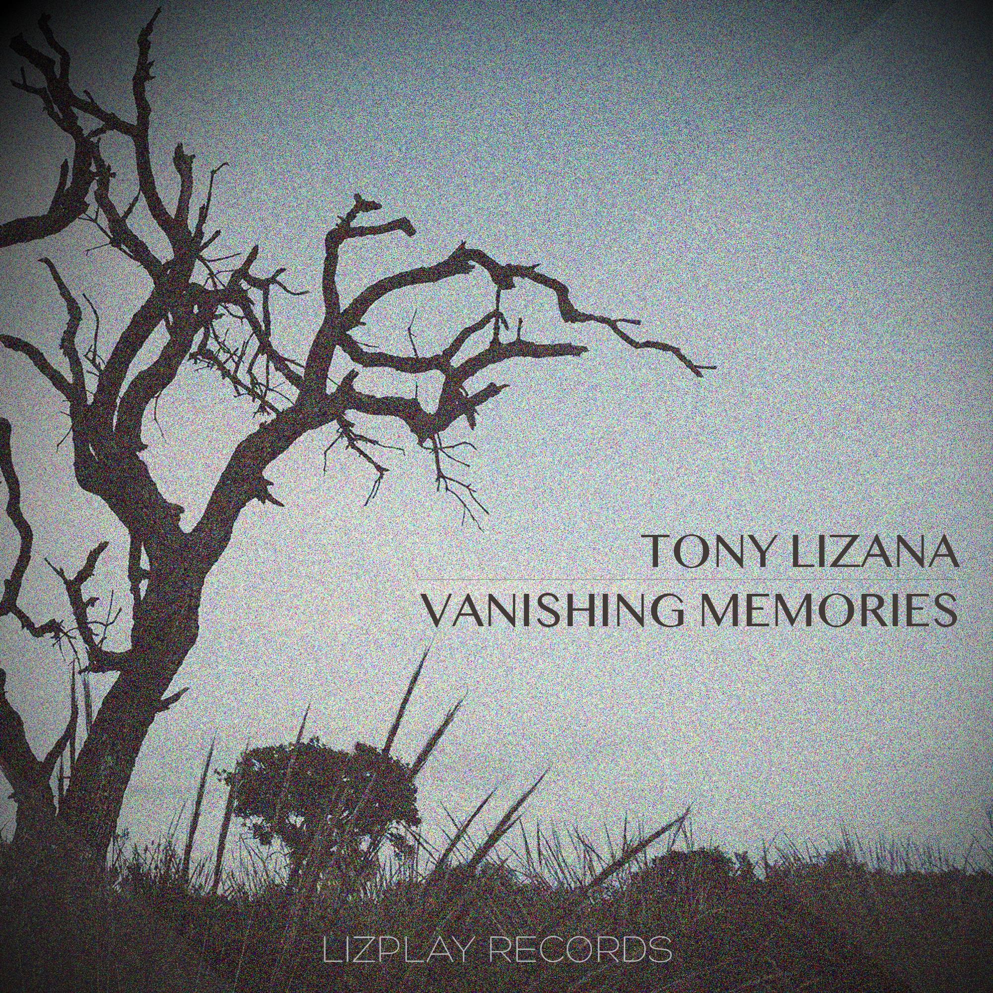 Vanishing Memories
