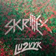 Would You Ever (LU2VYK Remix)