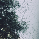 空林雨霁专辑
