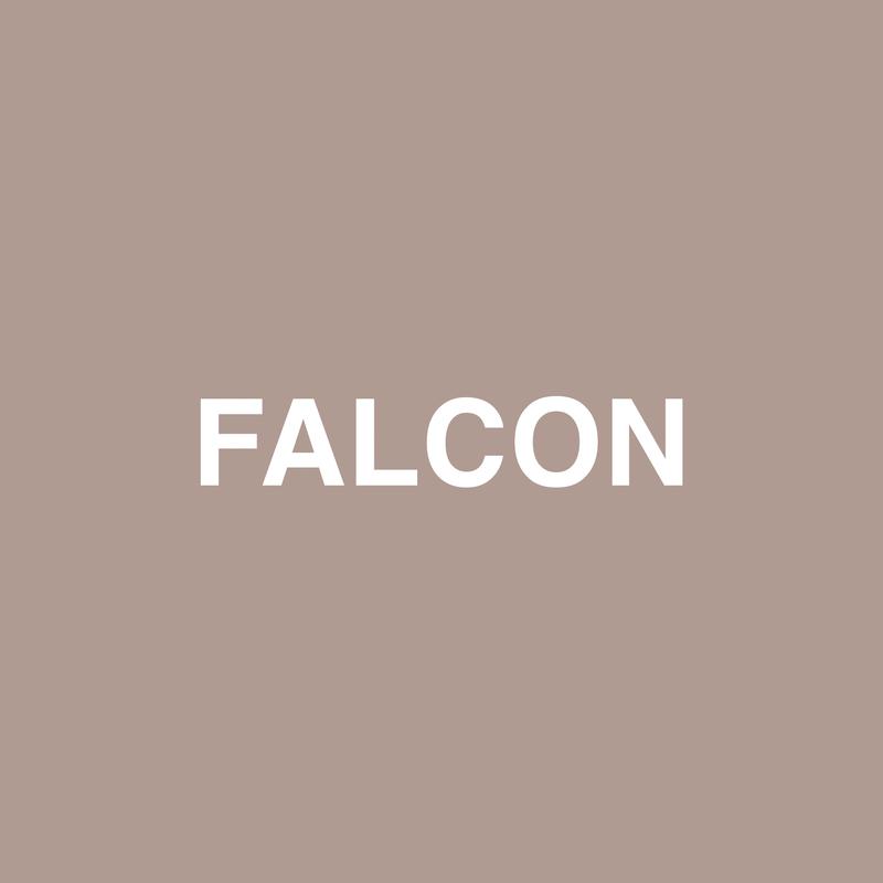 Falcon专辑