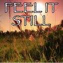 Feel It Still - Tribute to Portugal. The Man专辑