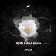 AVICII (DJ Mr Caked Remix)