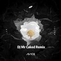 AVICII (DJ Mr Caked Remix)专辑