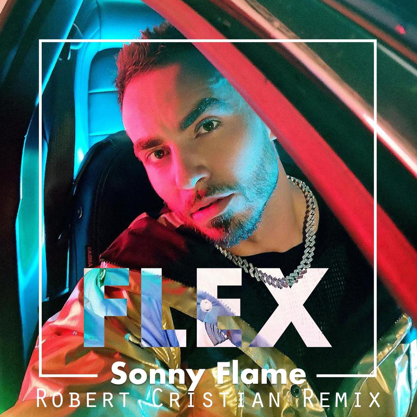 Flex (Robert Cristian Remix)
