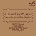 Kogan, Rostropovich, Gilels, Shapiro: Chamber Music