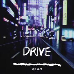 Drive（skz灿&糯）