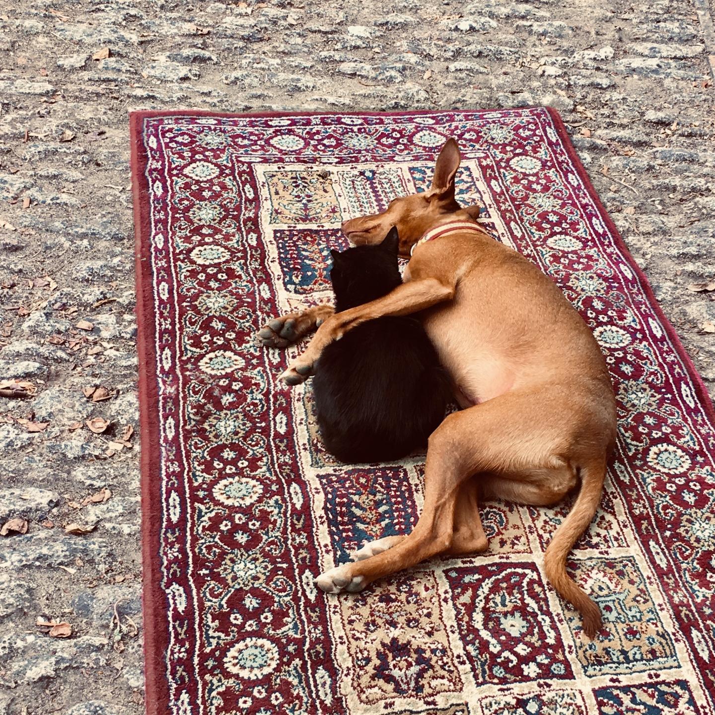 Woher hast du diese Frau eigentlich genau?