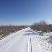 雪