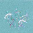 这雨，还未停