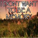 I Don't Want To Be A Memory - Tribute to Exile专辑