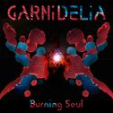 Burning Soul专辑