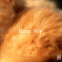 Citrus Jelly专辑