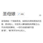 圣母婊（diss）