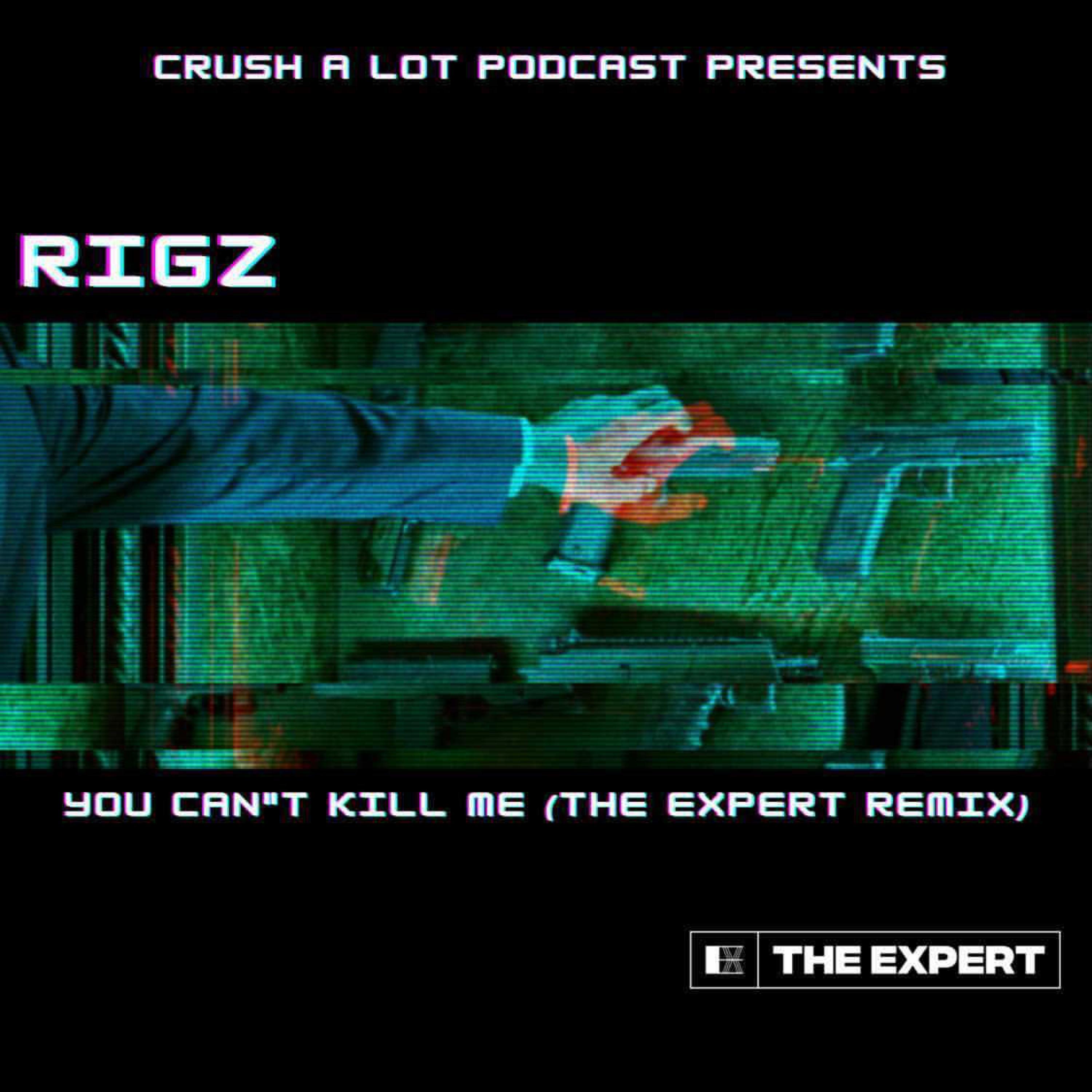 You Can't Kill Me (feat. Rigz) [The Expert Remix] (The Expert Remix)